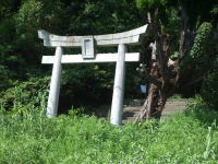 �󓖐_�Ђ̖{�� �����_��